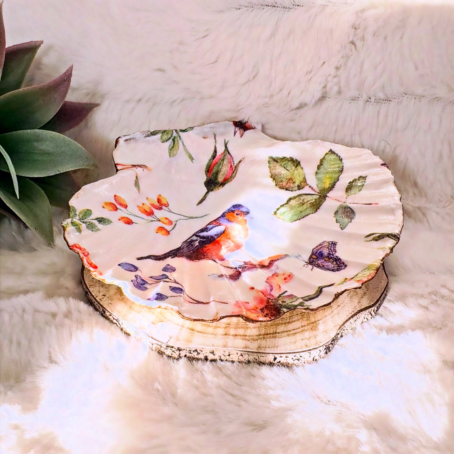 Porte-bijoux / Vide-poche coquillage