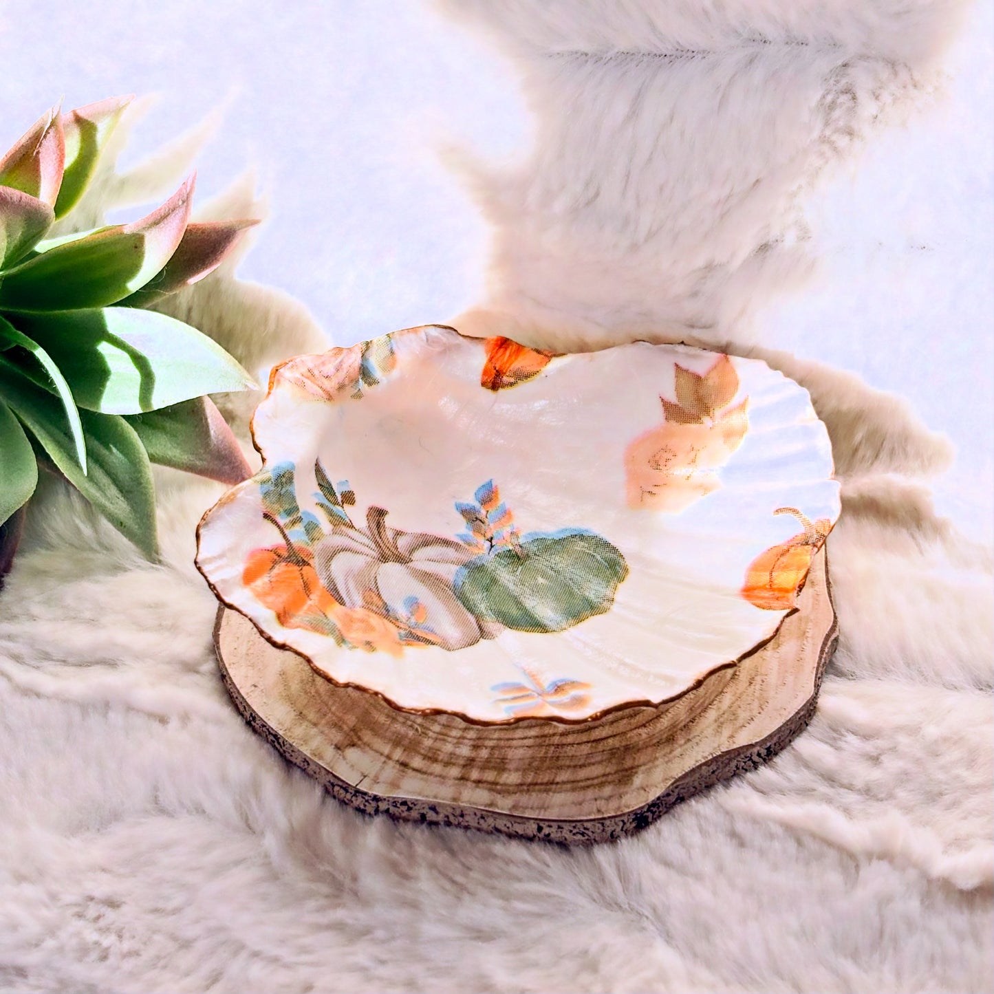 Porte-bijoux / Vide-poche coquillage