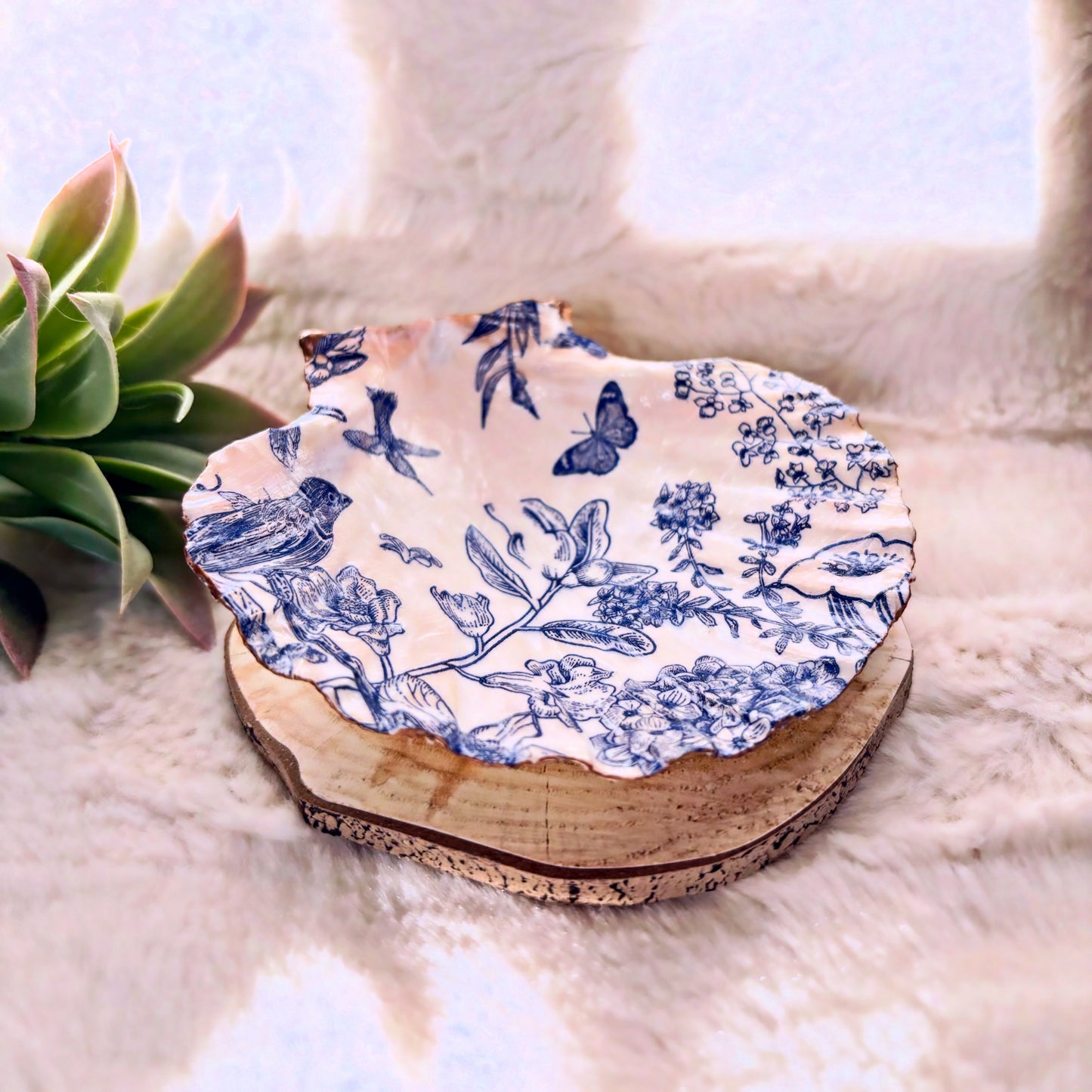 Porte-bijoux / Vide-poche coquillage