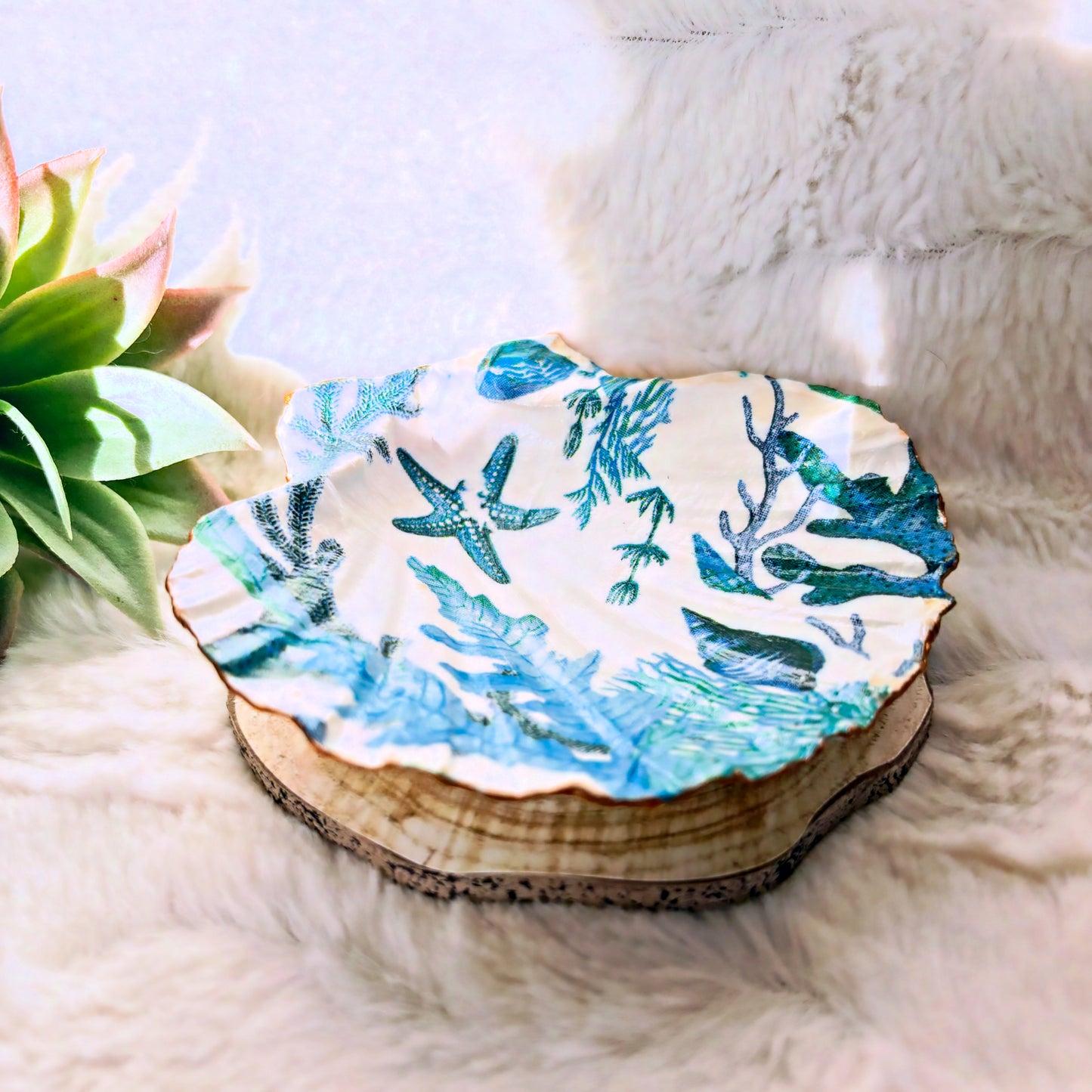 Porte-bijoux / Vide-poche coquillage