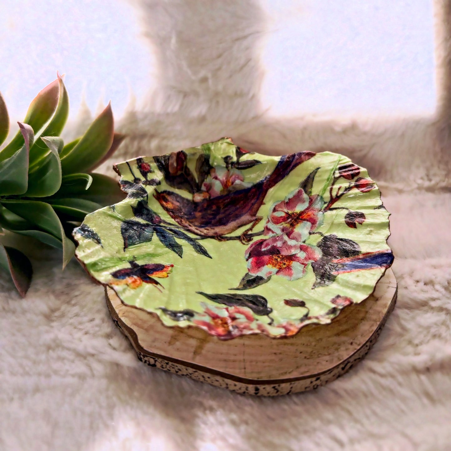 Porte-bijoux / Vide-poche coquillage